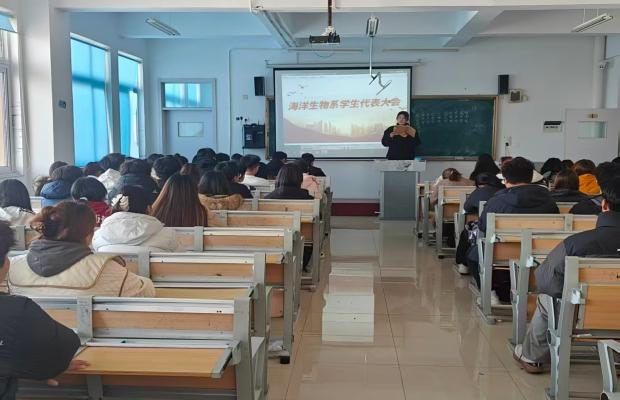 61b44cd6ccdbbbf50186c92e64bcd8f(1)